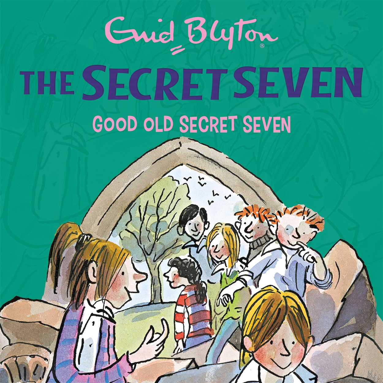 Secret old. Secret Seven. The Enid Blyton Secret Series. Good old Timmy Enid Blyton. The book of Secrets.